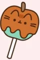 Pusheen_Caramel