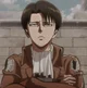 Levi Ackerman 