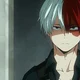 Shoto bf