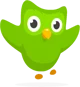 2020 Duolingo