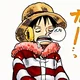 OP-Monkey D Luffy