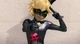 Miraculous RPG