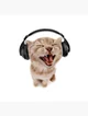 Headphone cat