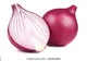 Onion