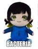 - bachira bacteria