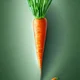 Zanahoria 