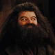 Rebeus Hagrid