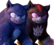 Your 2 Werehogs
