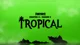Fortnite Tropical 