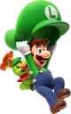 Luigi wonder