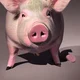 pig 2