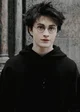 Harry James Potter 