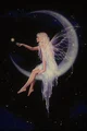 Fairy on the Moon