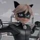 Cat Noir