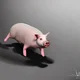 pig 2