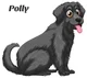 Polly the Dog