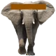 The Elephant 