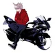 Biker Tord