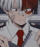 Shoto Todoroki 