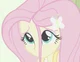 Bullied Fluttershy 