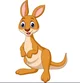 Jacob the kangaroo 