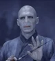 Lord Voldemort 