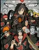 The akatsuki 