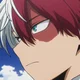 Todoroki shoto 