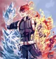 Todoroki Shoto 