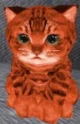 Brick The cat