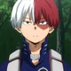 Shoto Todoroki