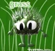 Grass