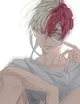 Todoroki Shoto 