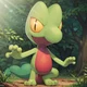 PKMN - Treecko