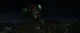 The Mantis