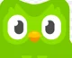 Duolingo