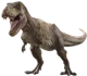 Rexy