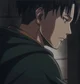 Levi Ackerman 