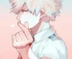 Katsuki Bakugou 