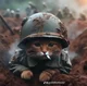 cat from war