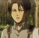 Levi Ackerman 