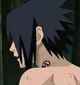 Sasuke Uchiha 