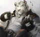 Tiger Biker