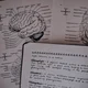 psychologist