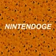 Nintendoge