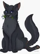 Cinderpelt