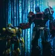 Bumblebee and optimu