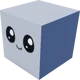 A Pet Cube