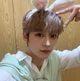 bunnyboy leeknow