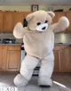 Ms dancing bear 
